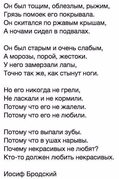 Иосиф бродский стих о коте Иосиф бродский стих о коте