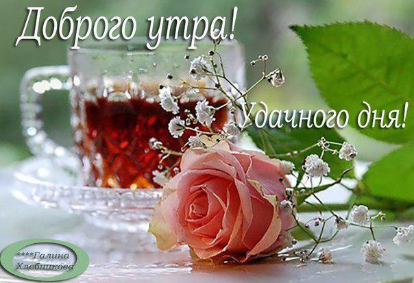 Пожелания доброго утра и рабочего дня Пожелания доброго утра и рабочего дня