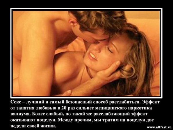 Стих давай займемся сексом Стих давай займемся сексом