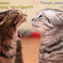поиск серьезных отношений после 50-и лет
