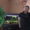 Дима, 38, г.Архангельск Дима, 38, г.Архангельск