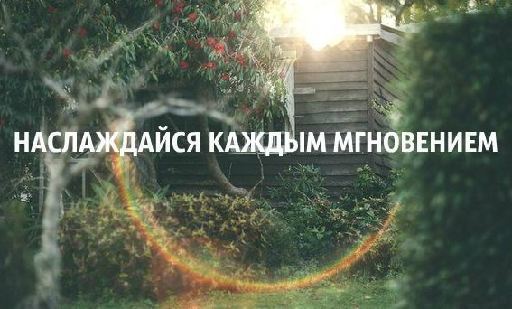 ловить каждый момент использовать каждый шанс ловить каждый момент использовать каждый шанс