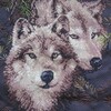 Верность волки схема вышивки 27