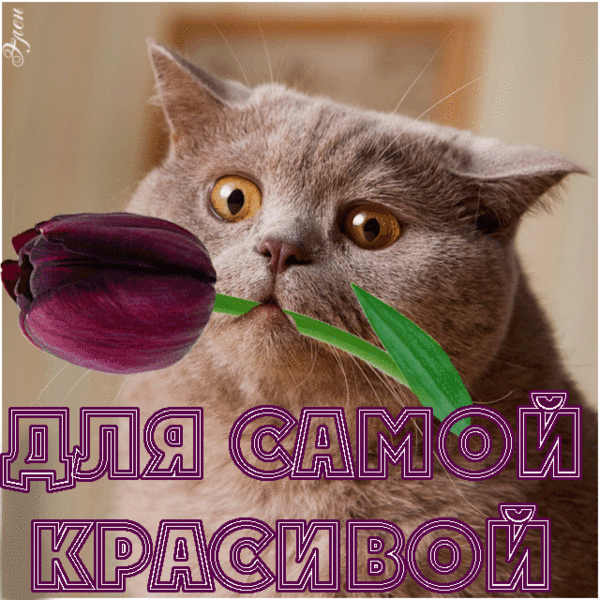 Открытки ты самая красивая Открытки ты самая красивая