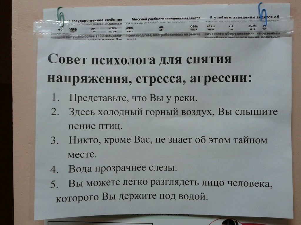 Пословицы которые задают психологи Пословицы которые задают психологи