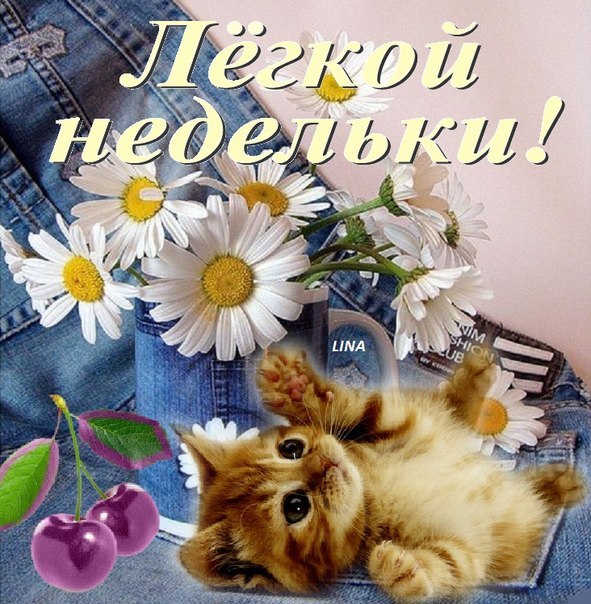 Неделя вместе поздравление 74