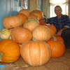 юрий, 54, г.Мариинский Посад юрий, 54, г.Мариинский Посад