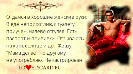 можно связать к горшку приучен зарплату домой вот специально под расписку к горшку приучен зарплату домой пластик