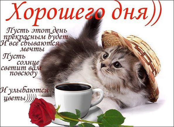 Открытка с днем школы Открытка с днем школы