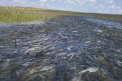тельвяковское вдхр рыбалка тельвяковское вдхр рыбалка