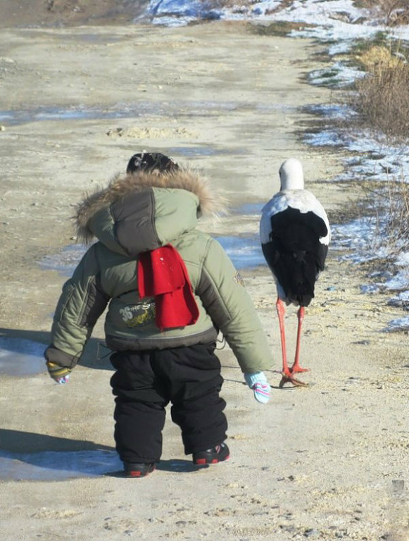 мне уже здесь ловить не чего мне уже здесь ловить не чего