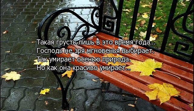 Первая осень статус Первая осень статус