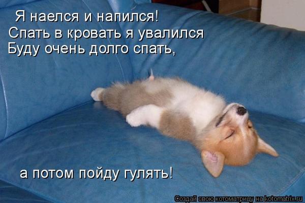 пошла в душ поужинаю и баиньки климактерическом
