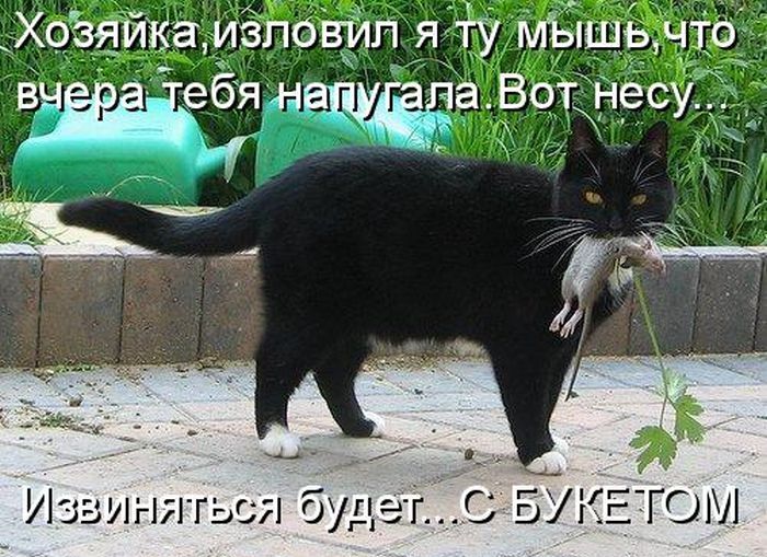 Извиняюсь был напуган анекдоты Извиняюсь был напуган анекдоты