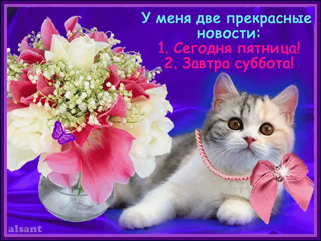 Красивые открытки на день рождения с котятами скачать бесплатно Красивые открытки на день рождения с котятами скачать бесплатно