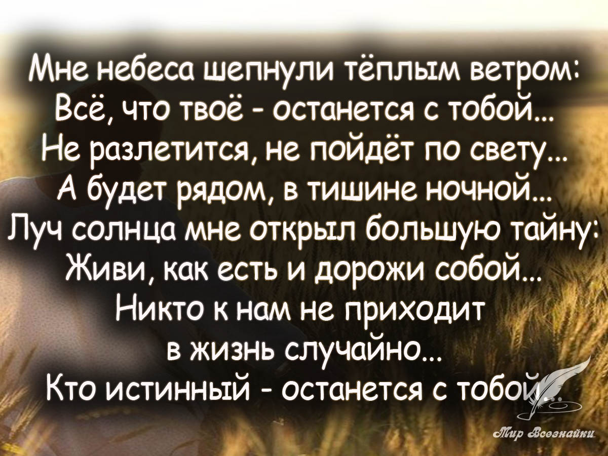Лучшие цитаты о женщинах и любви Лучшие цитаты о женщинах и любви