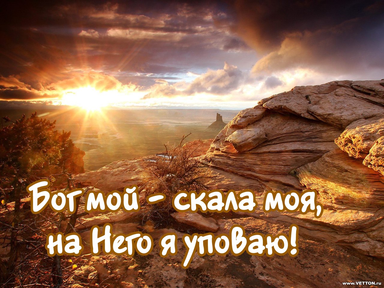 Живые картинки с цитатами