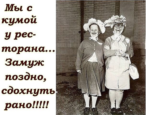 Статусы моя любимая кума Статусы моя любимая кума