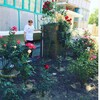 Игорь, 55, г.Красный Сулин Игорь, 55, г.Красный Сулин