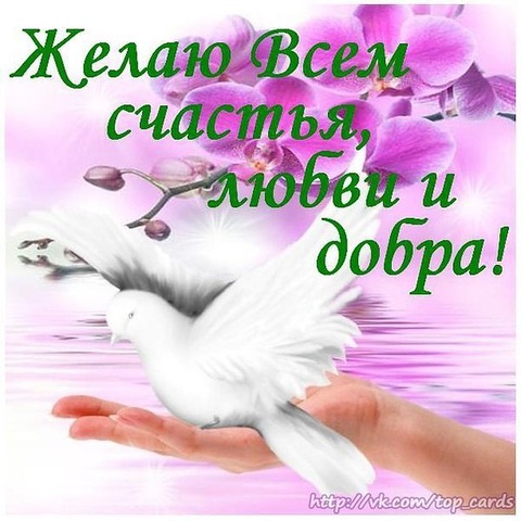 Открытка добра радости и счастья Открытка добра радости и счастья
