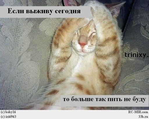 похмелья приколы картинки онлайн похмелья приколы картинки