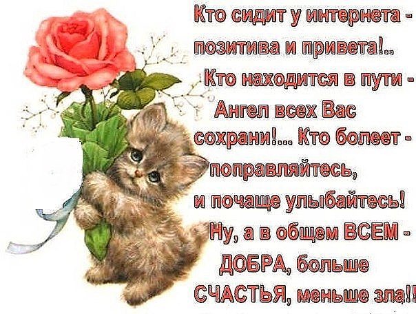 Как дела стих девушке Как дела стих девушке