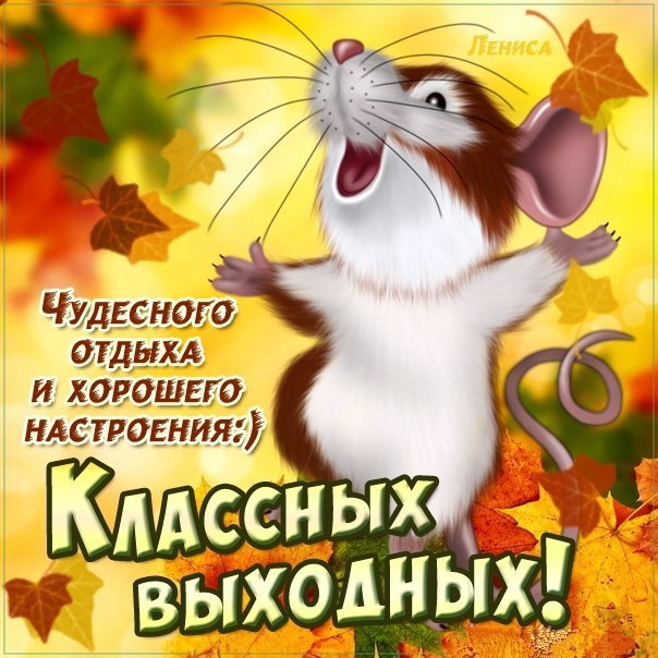 Как запомнить регулировщика. Стихи. - НЕТ - отказ, приглашение или вопрос? Исправительная колония 5 в Чите отметила 50-летний юбилей
