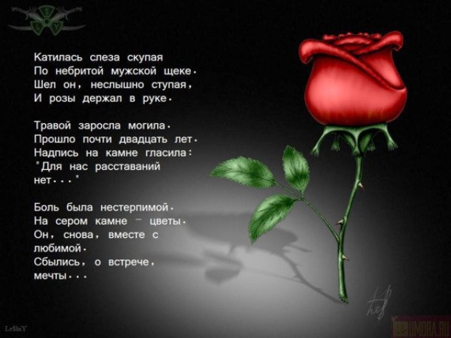 Стих девушки до слез девушки Стих девушки до слез девушки