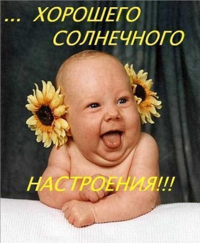 Собирать грибы стих Собирать грибы стих