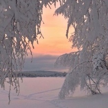 Живая природа