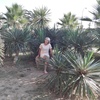 Татьяна, 73, г.Благовещенск Татьяна, 73, г.Благовещенск