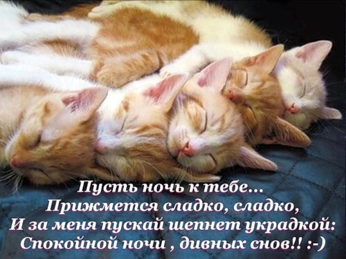 http://f3.mylove.ru/nWXZt1jl1I.jpg