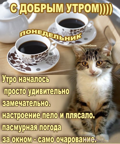 Стих с добрым утром в понедельник