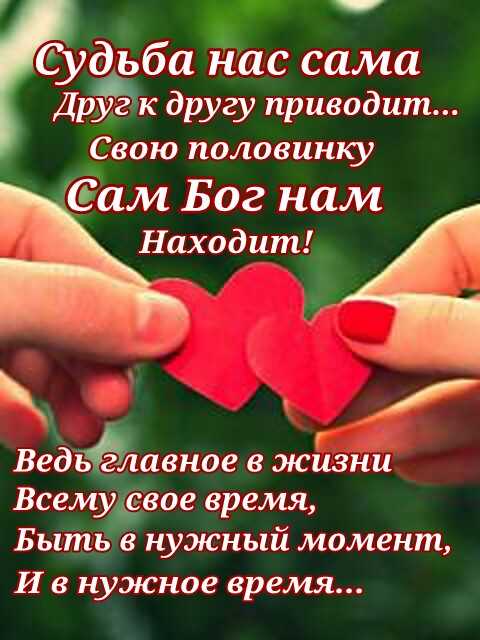 Стих про половинок Стих про половинок