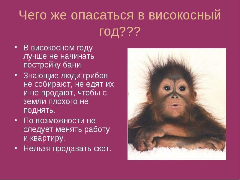 Почему високосный год существует Почему високосный год существует