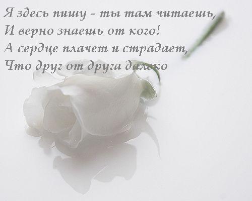 Наш сайт конкурс на вакантные должности Наш сайт конкурс на вакантные должности