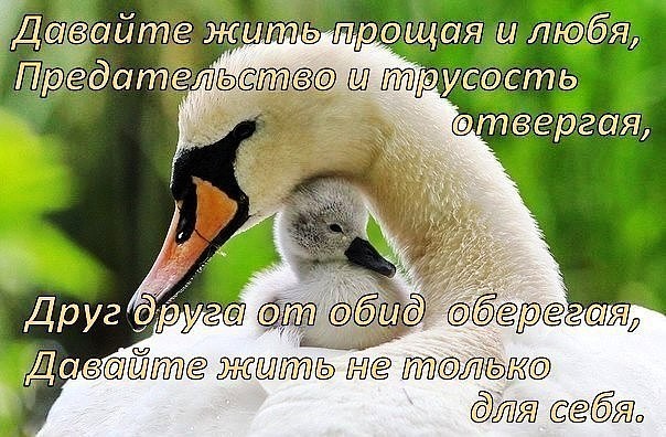 Статусы извини другу Статусы извини другу