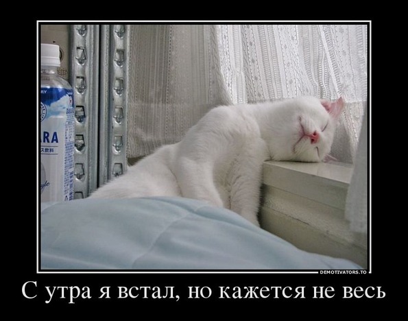 http://f3.mylove.ru/1bs5Mxx9bPuN8iB.jpg