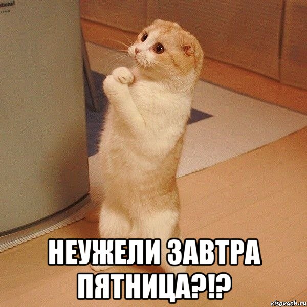 пятница завтра картинка онлайн пятница завтра картинка