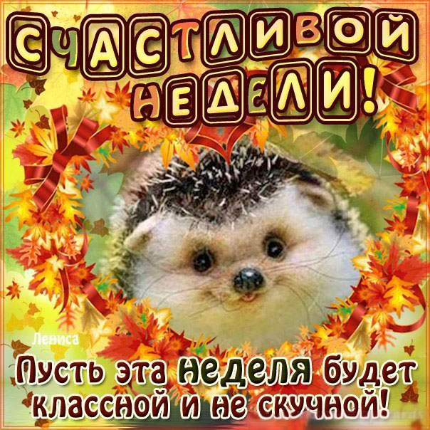 Прикольные, хорошие открытки с пожеланием доброго утра и хорошей недели