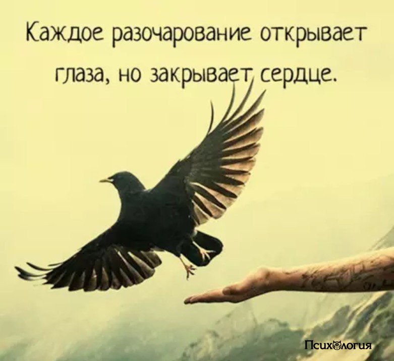 Надписями черном, открытка разочарование это