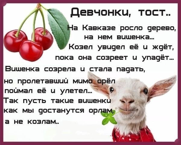 Про, тост картинки юмор