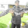 николай, 41, г.Новгород Северский николай, 41, г.Новгород Северский