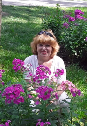 Моя фотография - Вера, 61 из Воронеж (@vera47149)