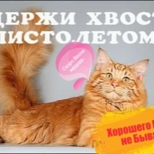 Хорошего Много не Бывает!