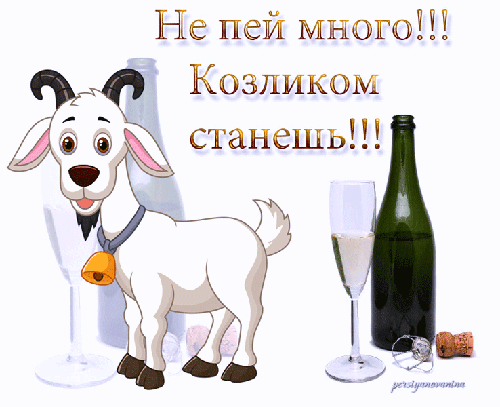 Открытки не напейся, картинки