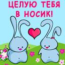 Картинки с надписью целую тебя мой зайчик, удачного