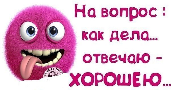 Картинки как дела ответ