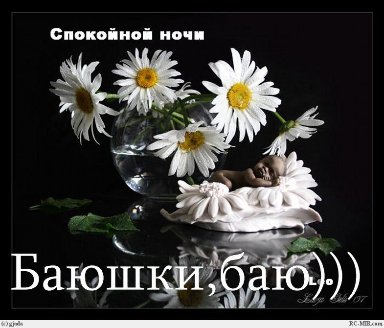 Для, открытки с ромашками спокойной ночи