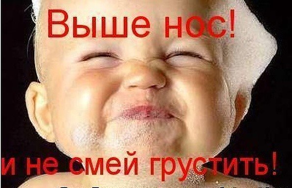 Сделать открытку, картинка выше нос прикольная